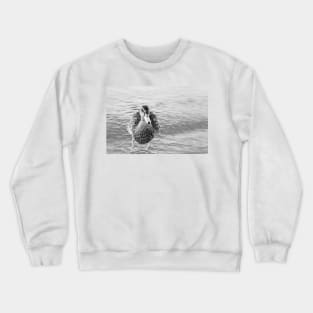 Cute Funny Duck Portrait Black and White Crewneck Sweatshirt